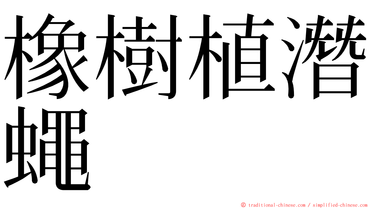橡樹植潛蠅 ming font