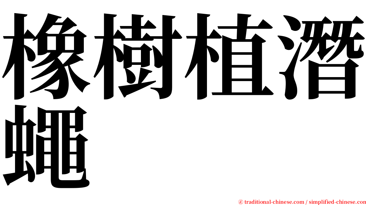 橡樹植潛蠅 serif font