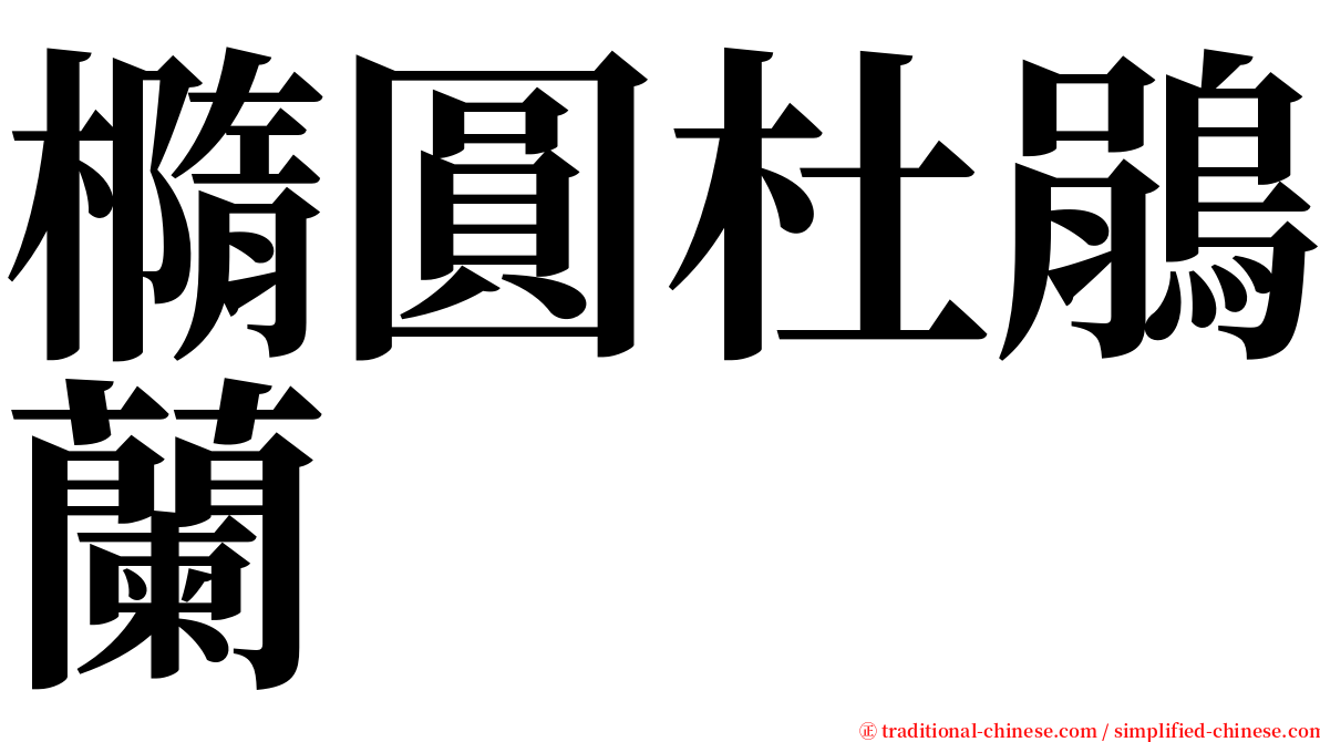 橢圓杜鵑蘭 serif font