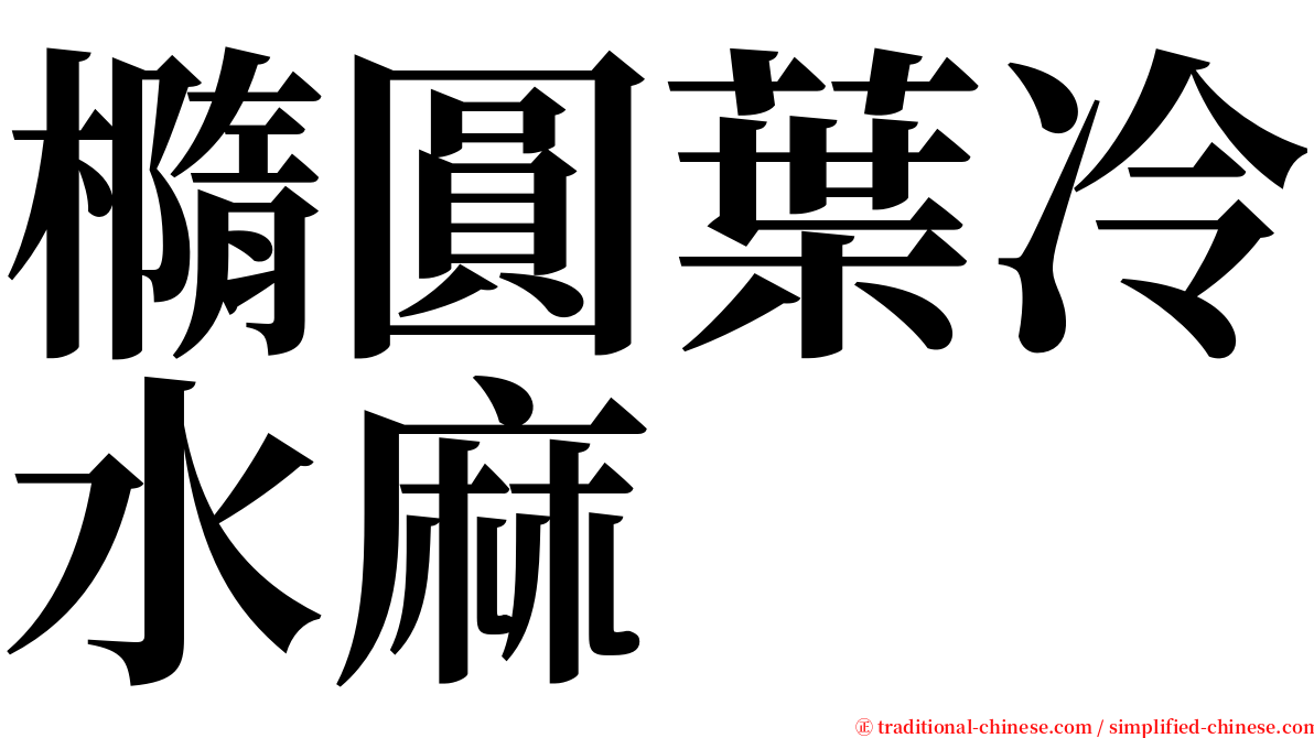 橢圓葉冷水麻 serif font