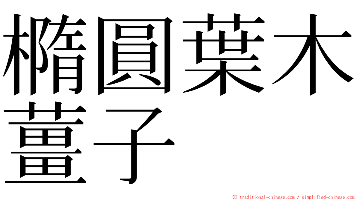 橢圓葉木薑子 ming font