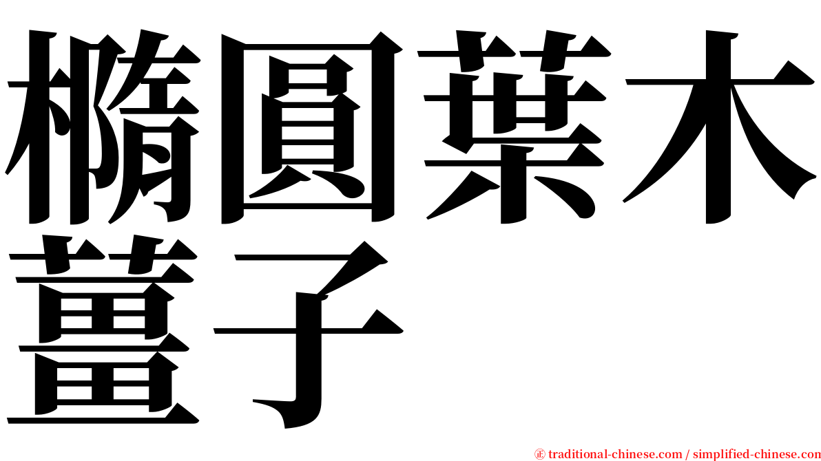 橢圓葉木薑子 serif font