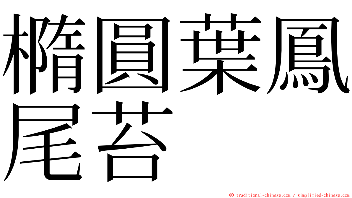 橢圓葉鳳尾苔 ming font