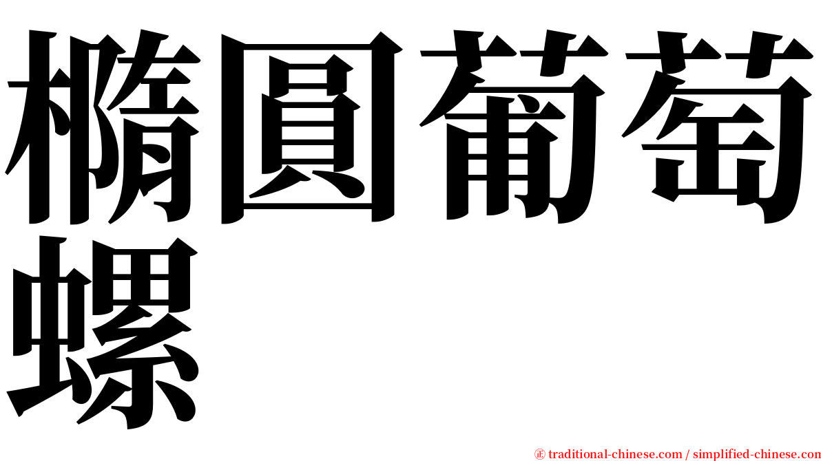 橢圓葡萄螺 serif font