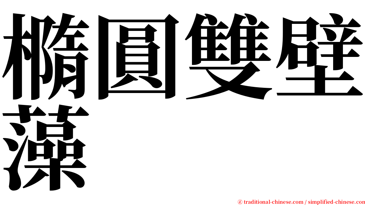 橢圓雙壁藻 serif font