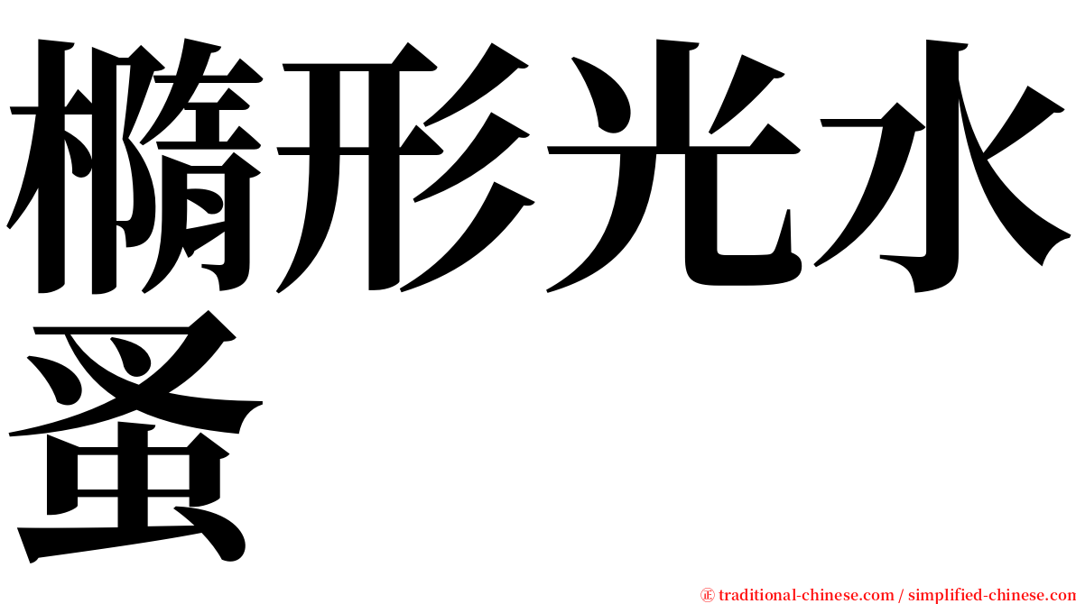 橢形光水蚤 serif font