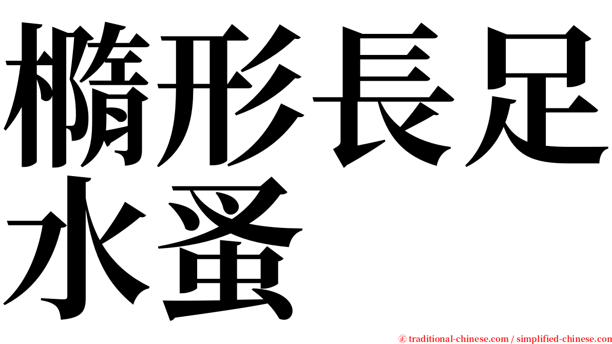 橢形長足水蚤 serif font