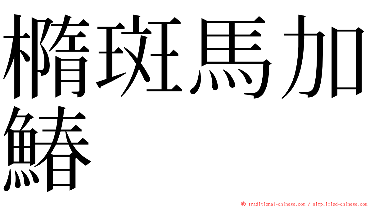 橢斑馬加鰆 ming font