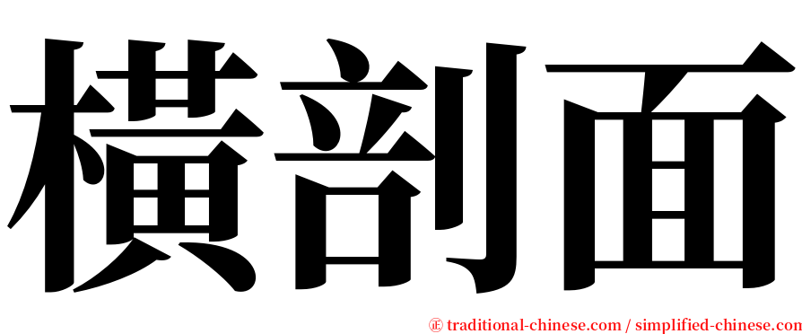 橫剖面 serif font