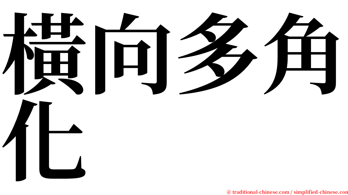 橫向多角化 serif font