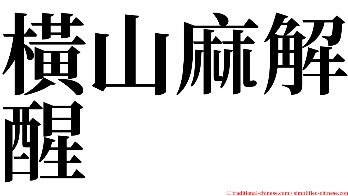 橫山麻解醒 serif font