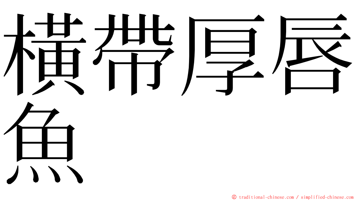 橫帶厚唇魚 ming font