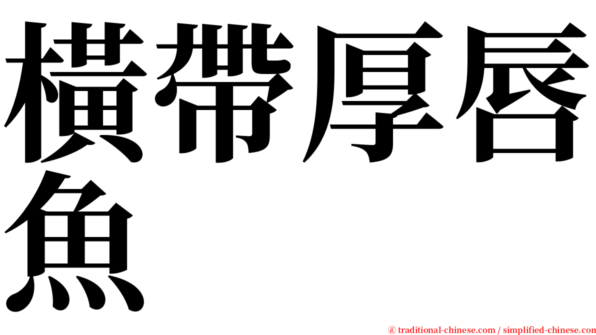 橫帶厚唇魚 serif font