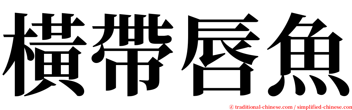 橫帶唇魚 serif font