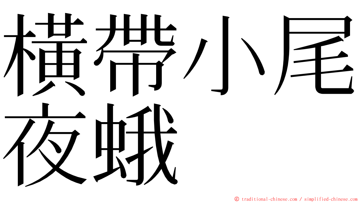 橫帶小尾夜蛾 ming font