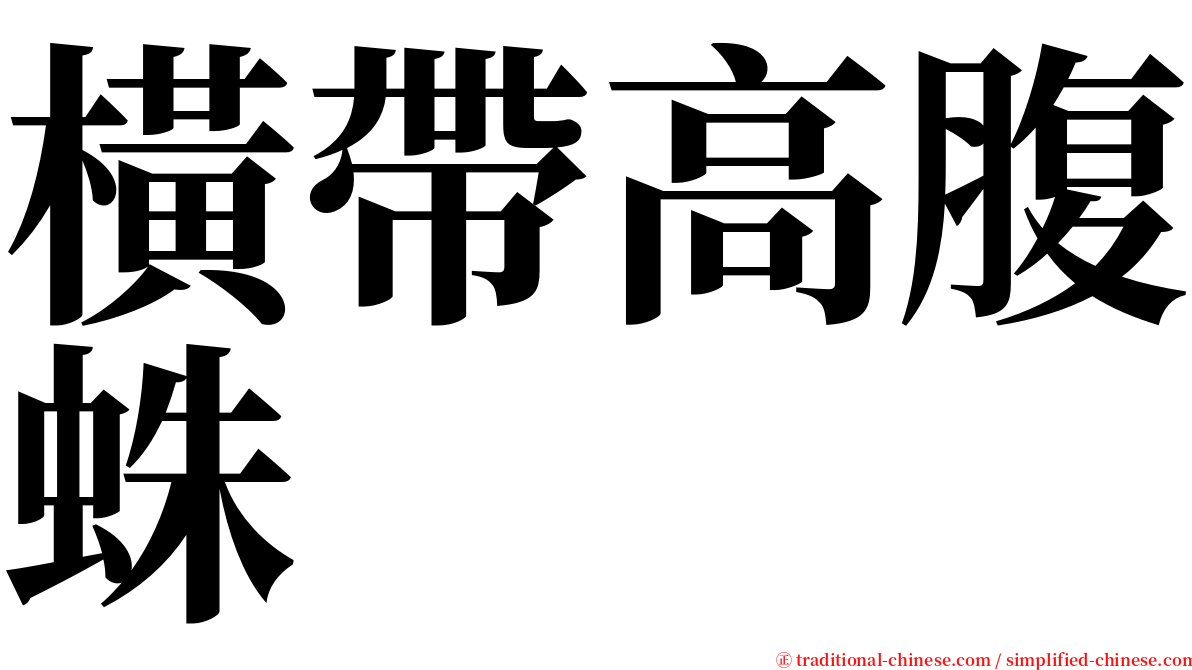 橫帶高腹蛛 serif font