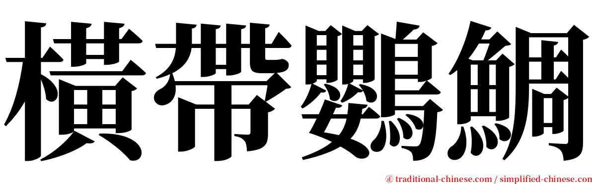 橫帶鸚鯛 serif font