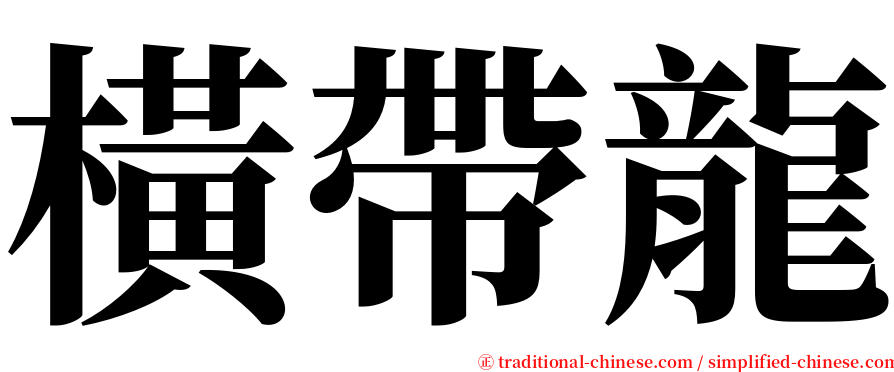 橫帶龍 serif font