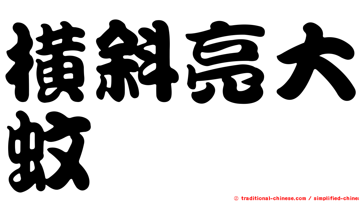 橫斜亮大蚊