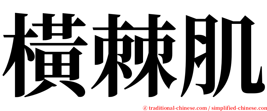 橫棘肌 serif font