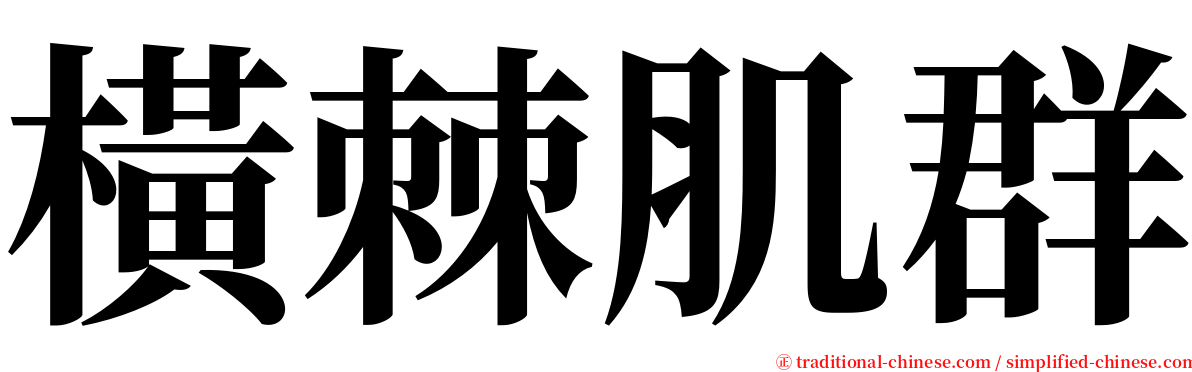 橫棘肌群 serif font