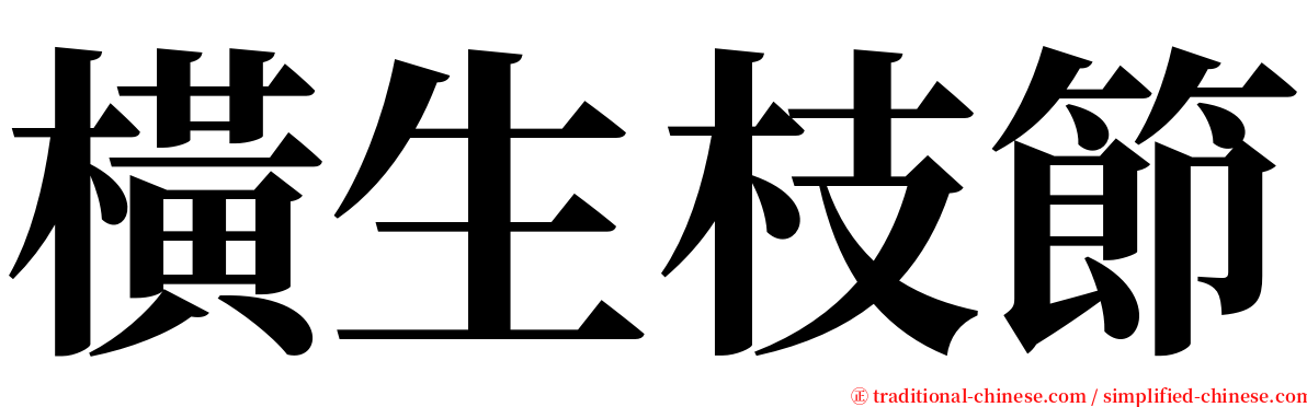 橫生枝節 serif font