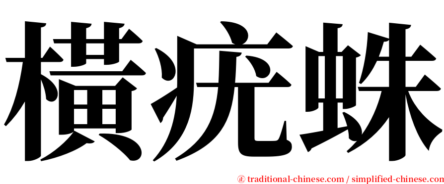 橫疣蛛 serif font