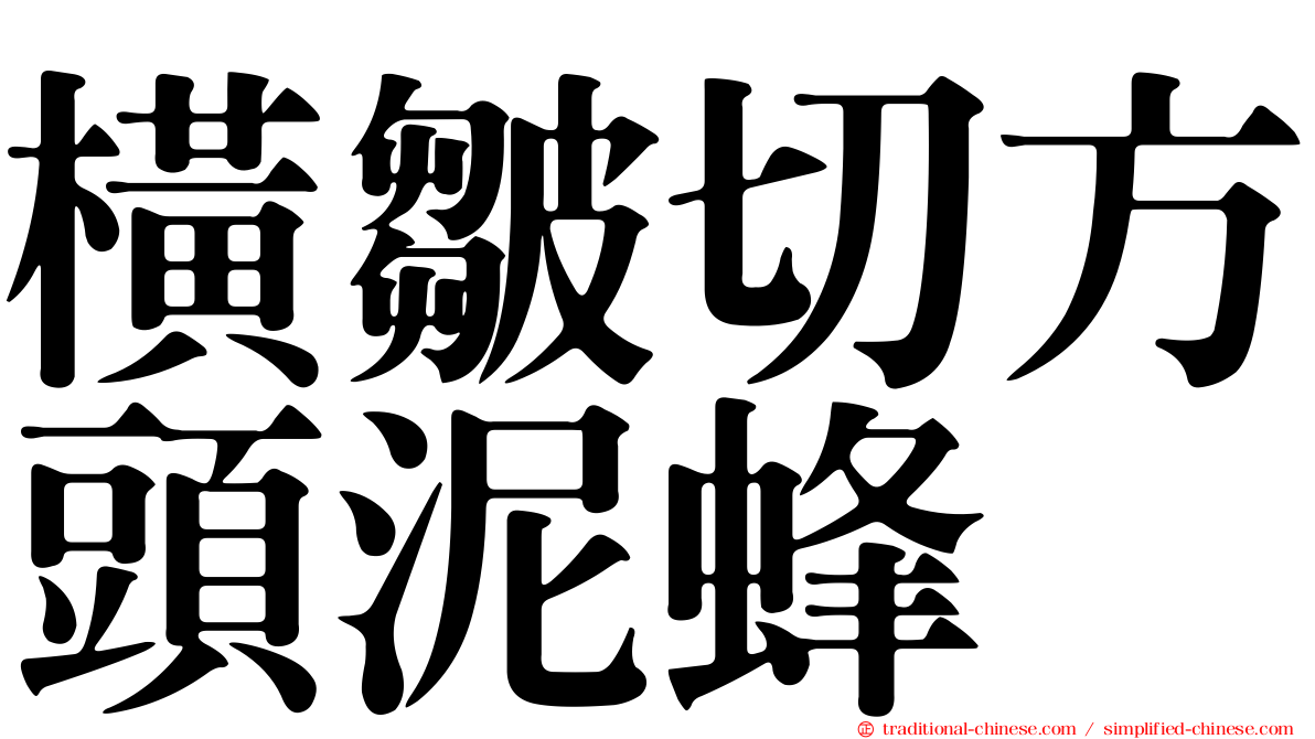 橫皺切方頭泥蜂