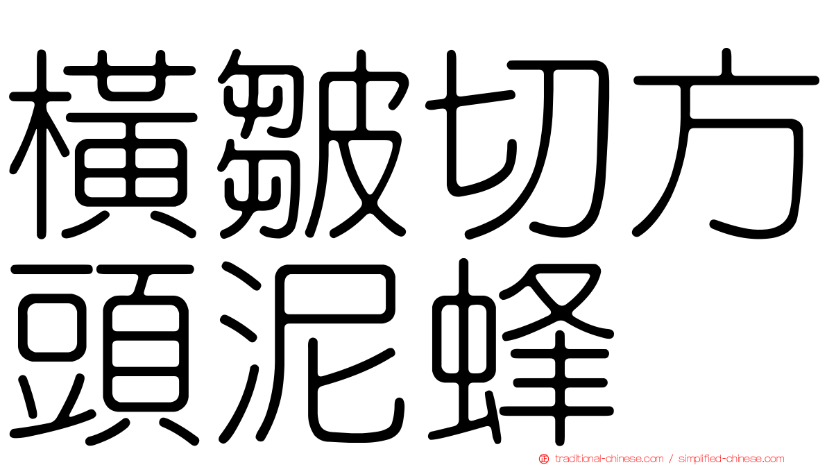 橫皺切方頭泥蜂