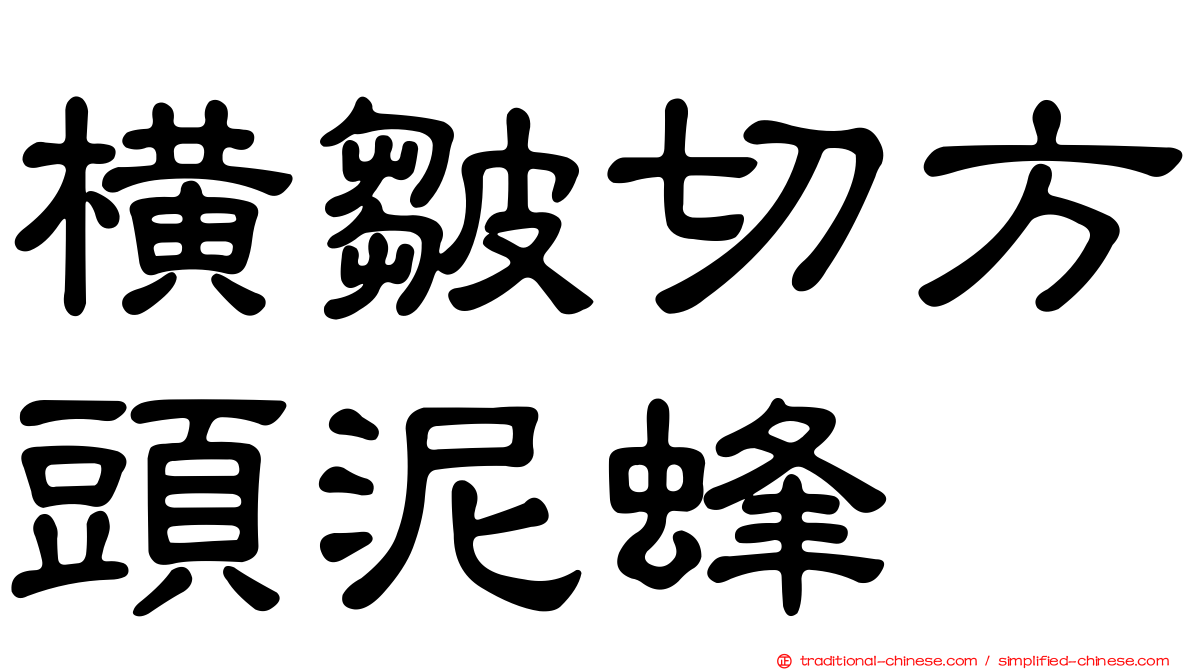橫皺切方頭泥蜂