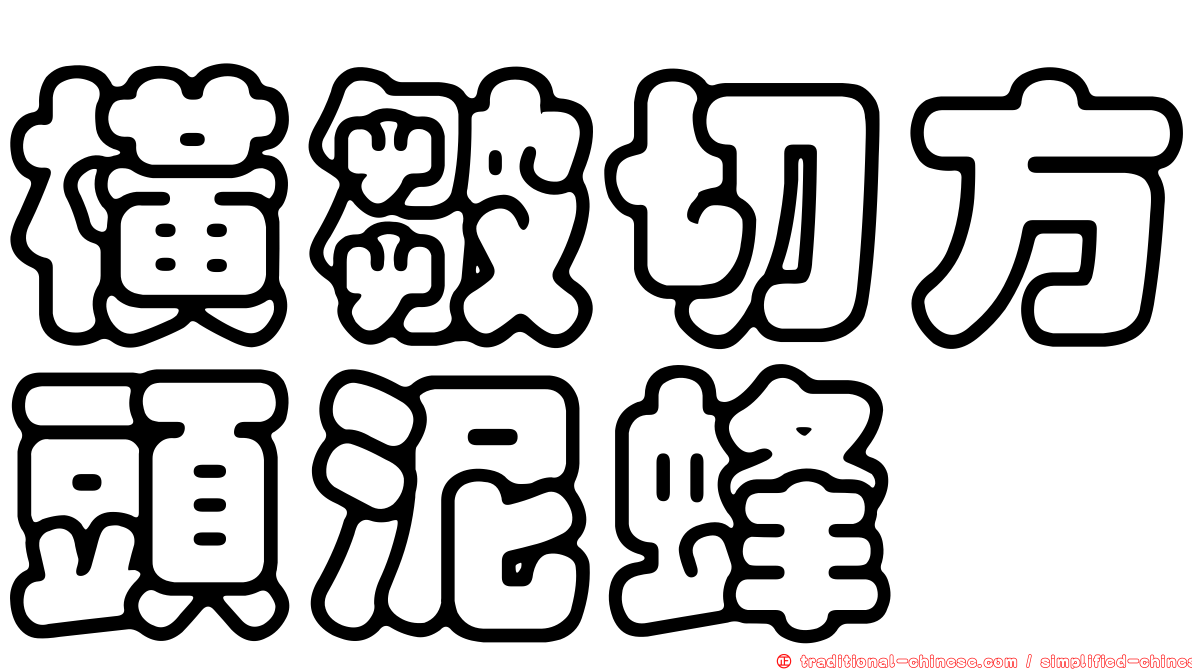 橫皺切方頭泥蜂