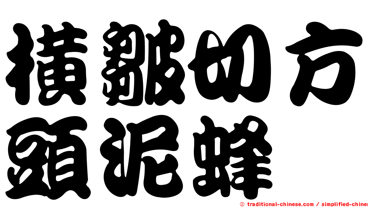 橫皺切方頭泥蜂