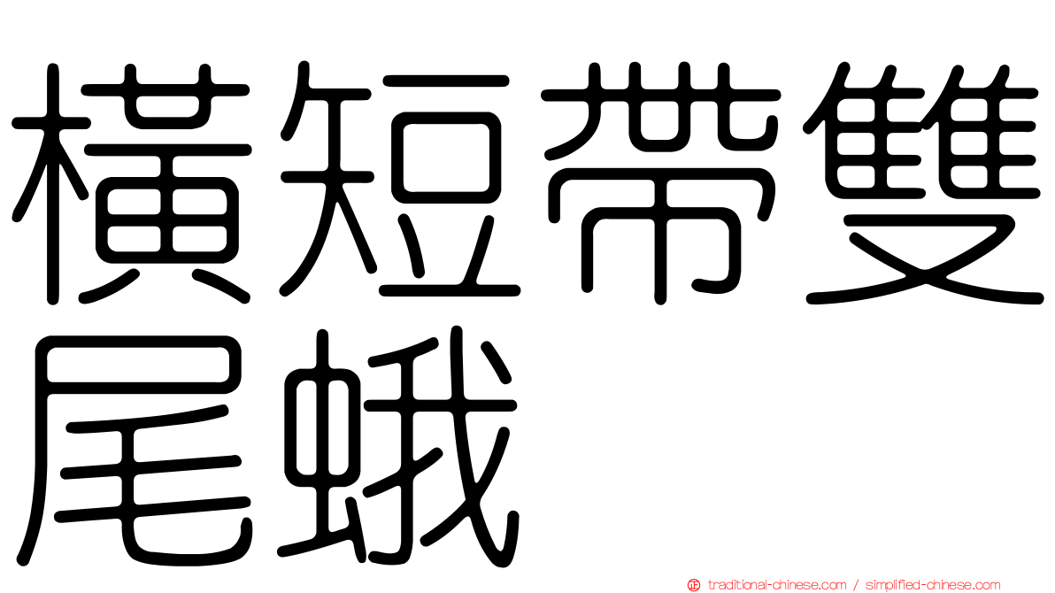橫短帶雙尾蛾