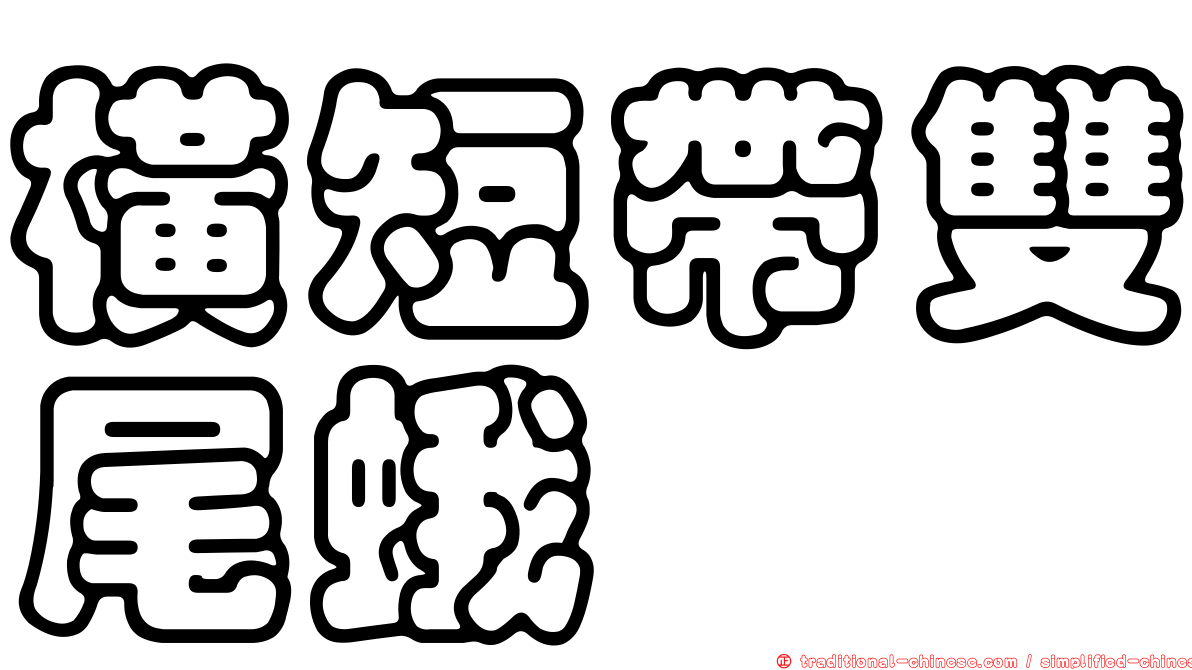 橫短帶雙尾蛾