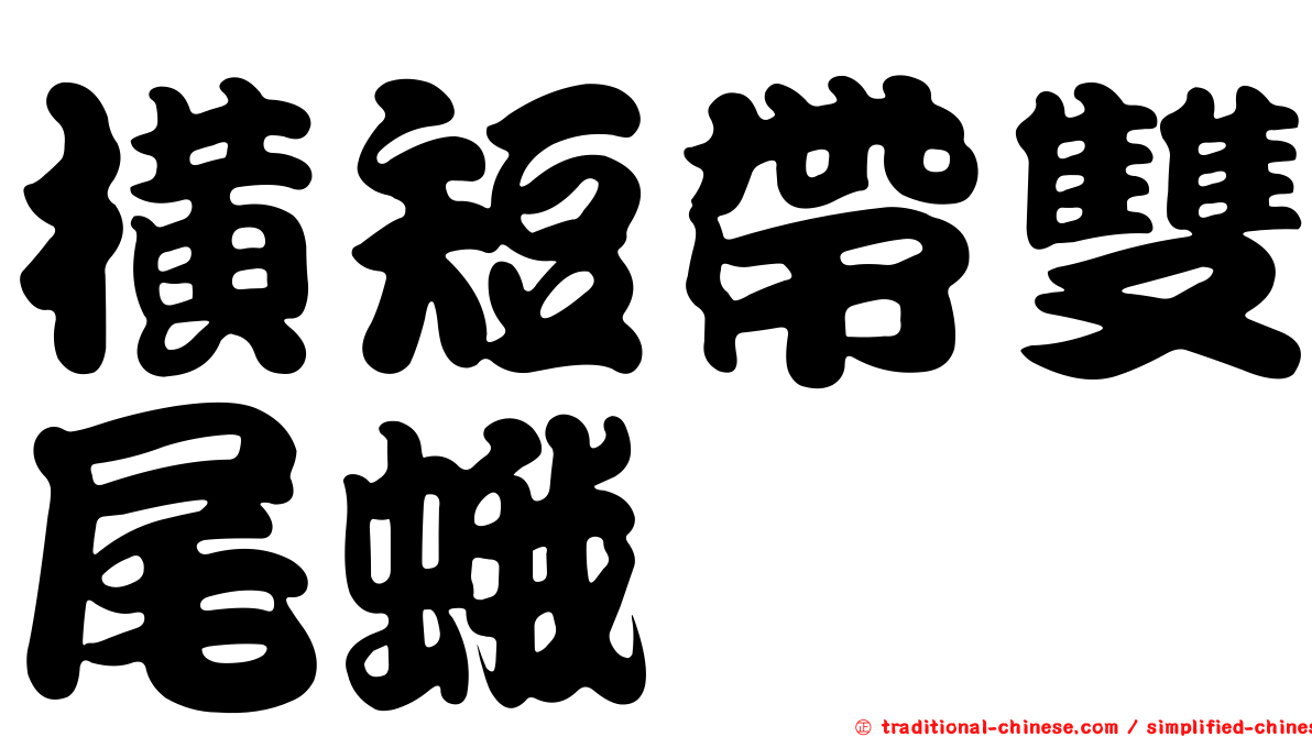 橫短帶雙尾蛾