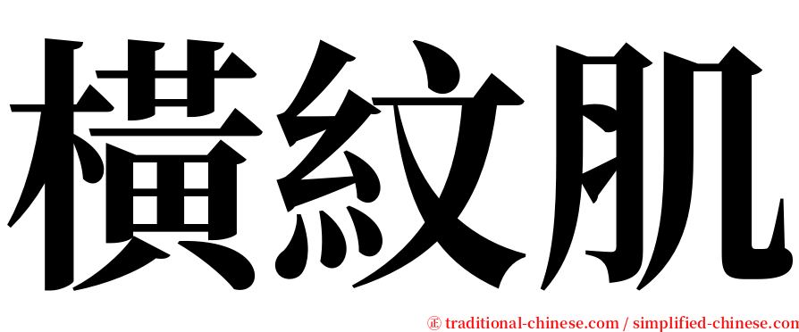 橫紋肌 serif font