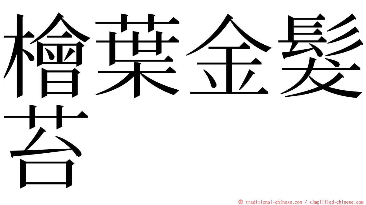 檜葉金髮苔 ming font