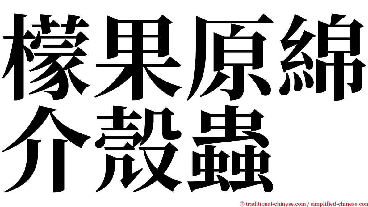 檬果原綿介殼蟲 serif font