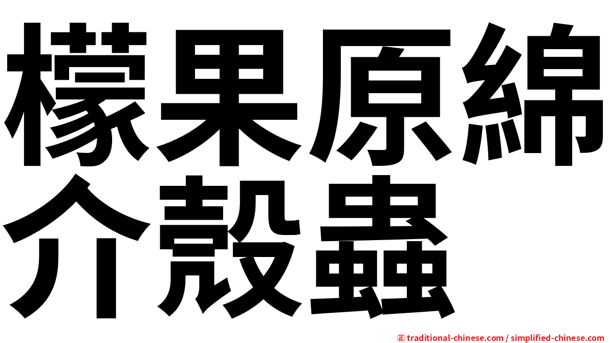 檬果原綿介殼蟲