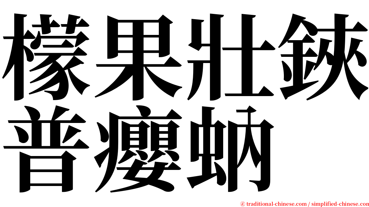 檬果壯鋏普癭蚋 serif font