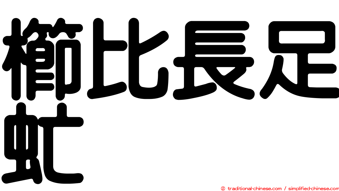 櫛比長足虻