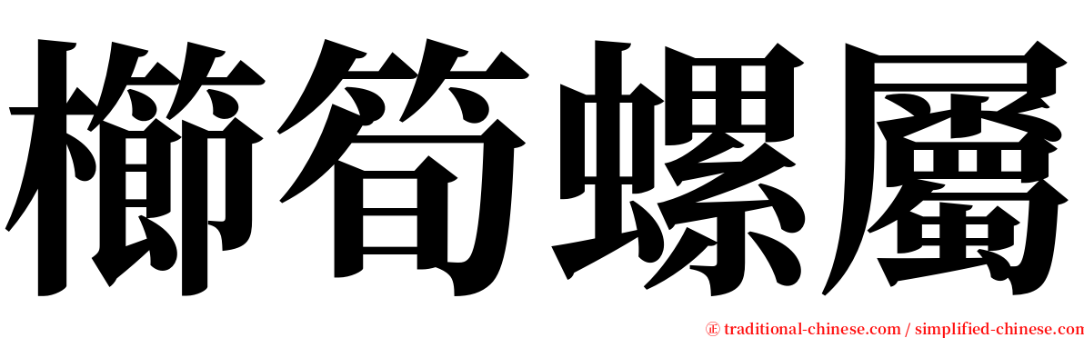 櫛筍螺屬 serif font