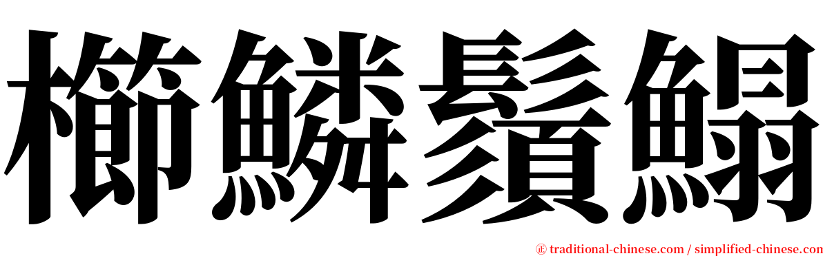 櫛鱗鬚鰨 serif font