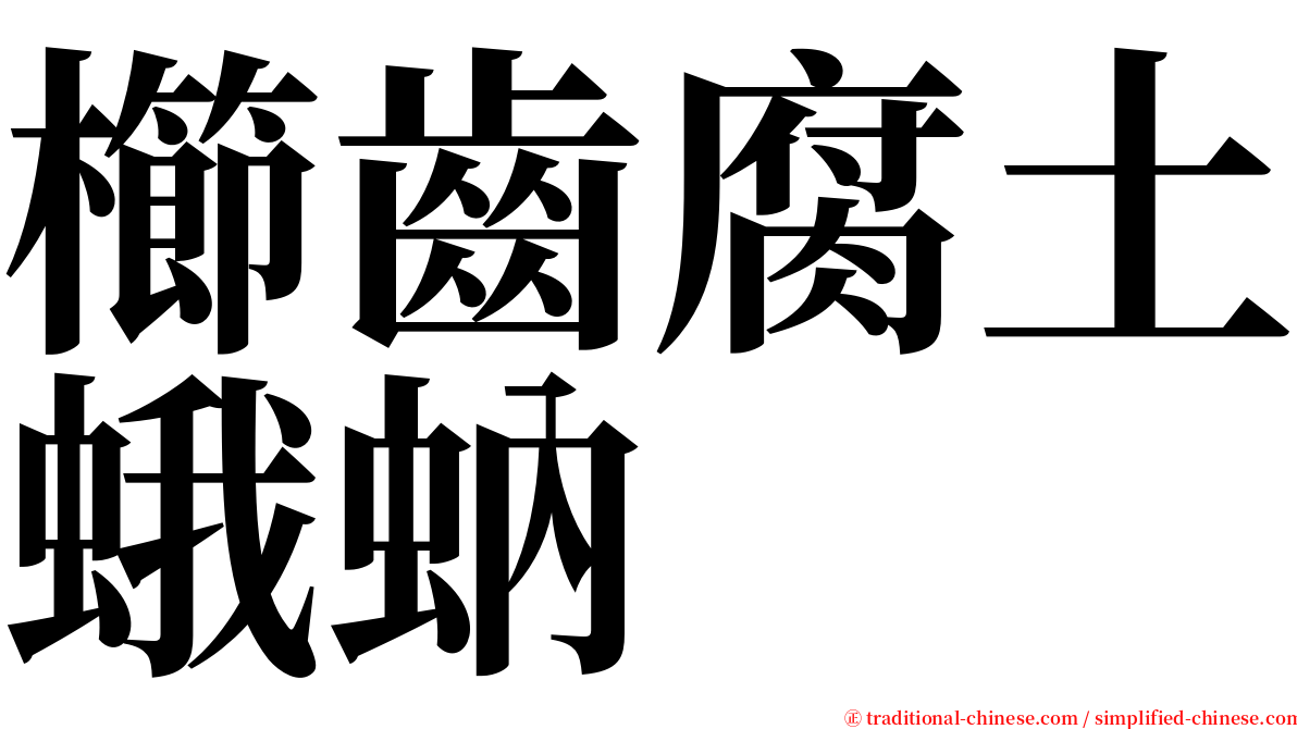 櫛齒腐土蛾蚋 serif font