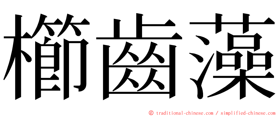 櫛齒藻 ming font