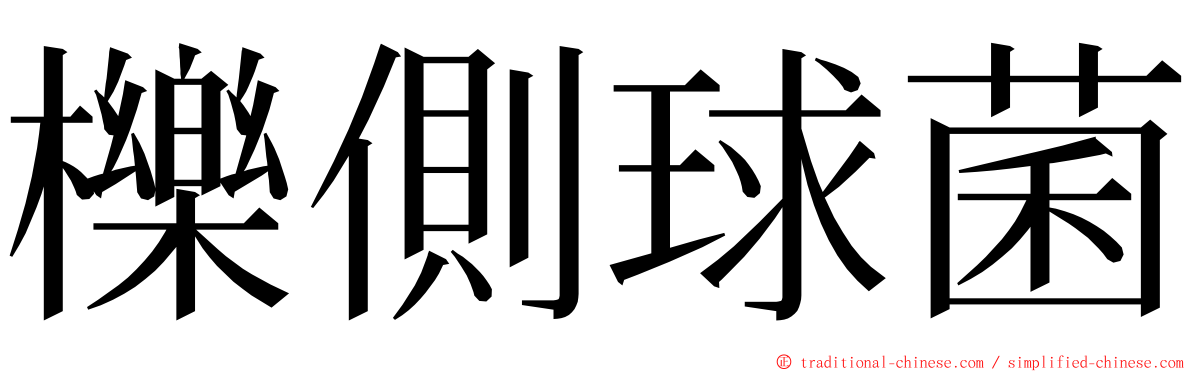 櫟側球菌 ming font