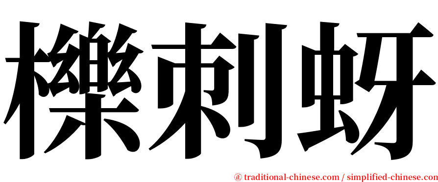 櫟刺蚜 serif font