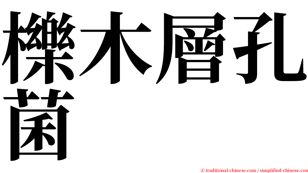 櫟木層孔菌 serif font