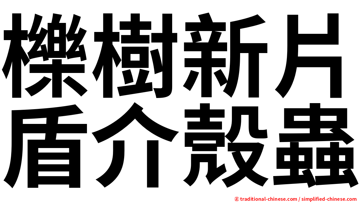 櫟樹新片盾介殼蟲