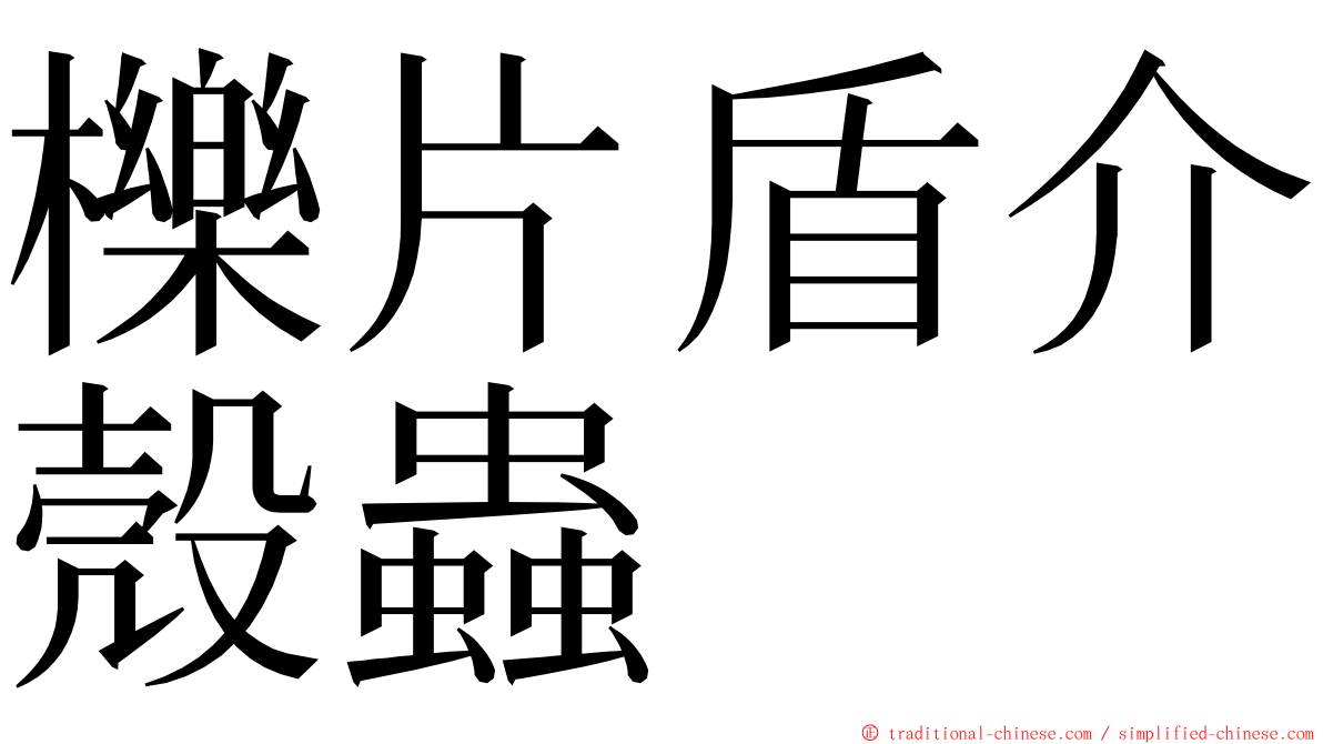 櫟片盾介殼蟲 ming font